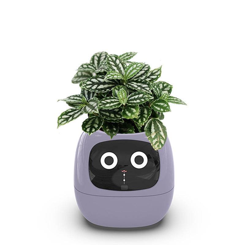 USB rechargeable automatic water-absorbing flowerpot - Price Value Store