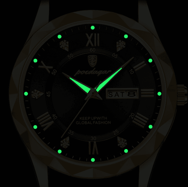 Swiss Brand Waterproof Luminous Men's Quartz Watch - Price Value Store