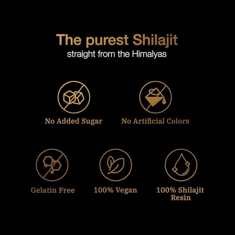 Premium Shilajit Gummies Natural Energy Immunity Mood Vegetarian Non-GMO Gummies - Price Value Store