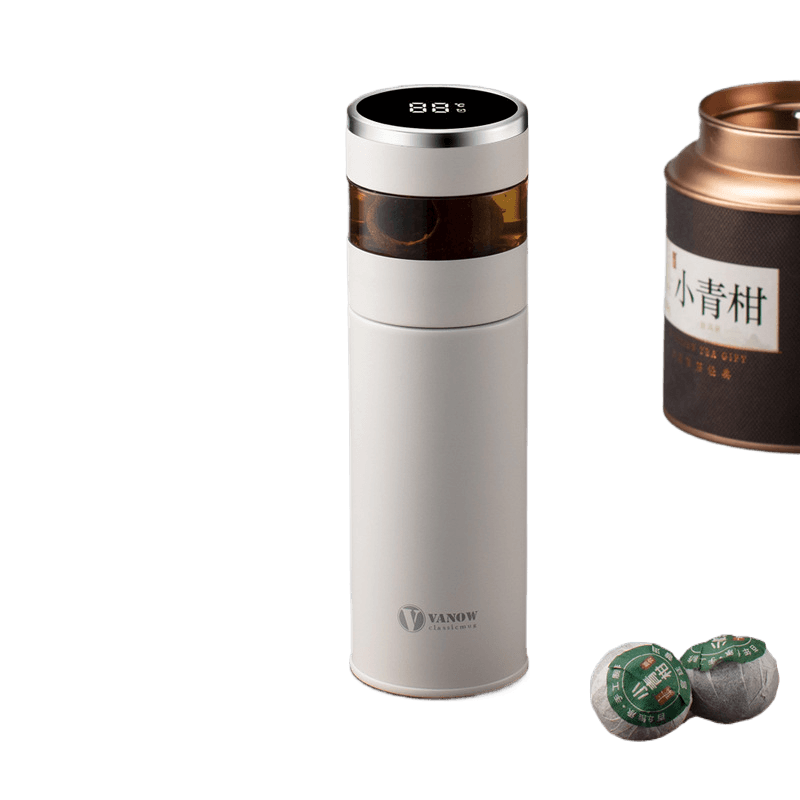 Smart Temperature Display Vacuum Insulated Cup with Tea Strainer - Price Value Store