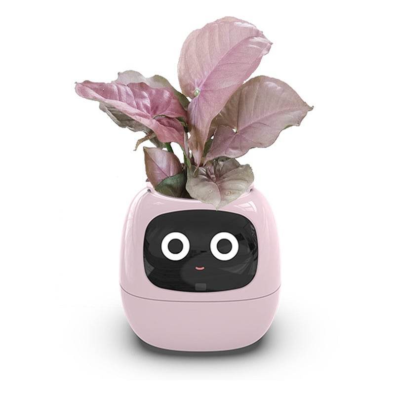 USB rechargeable automatic water-absorbing flowerpot - Price Value Store
