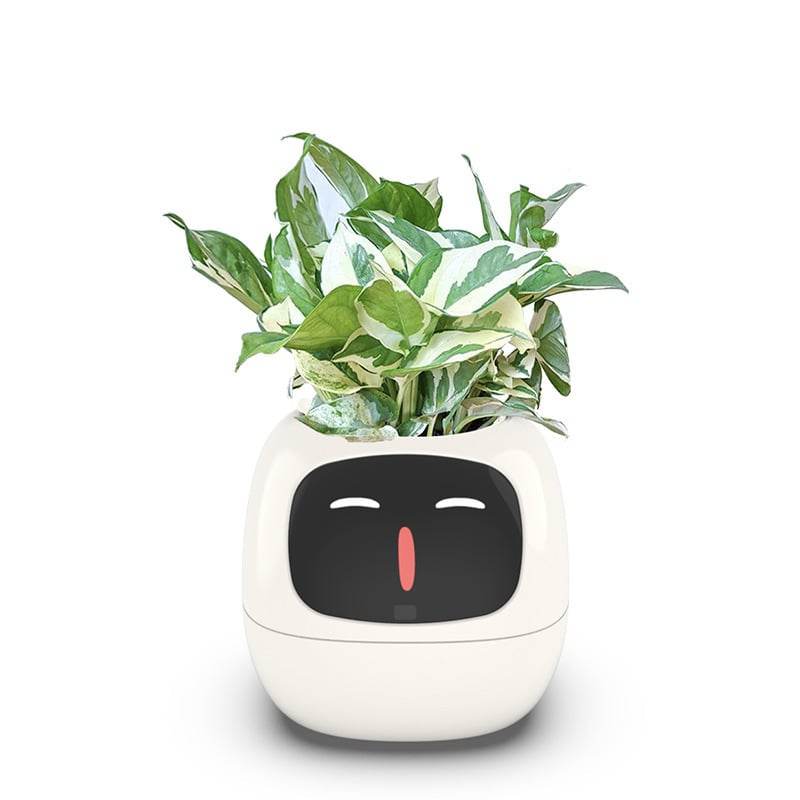 USB rechargeable automatic water-absorbing flowerpot - Price Value Store