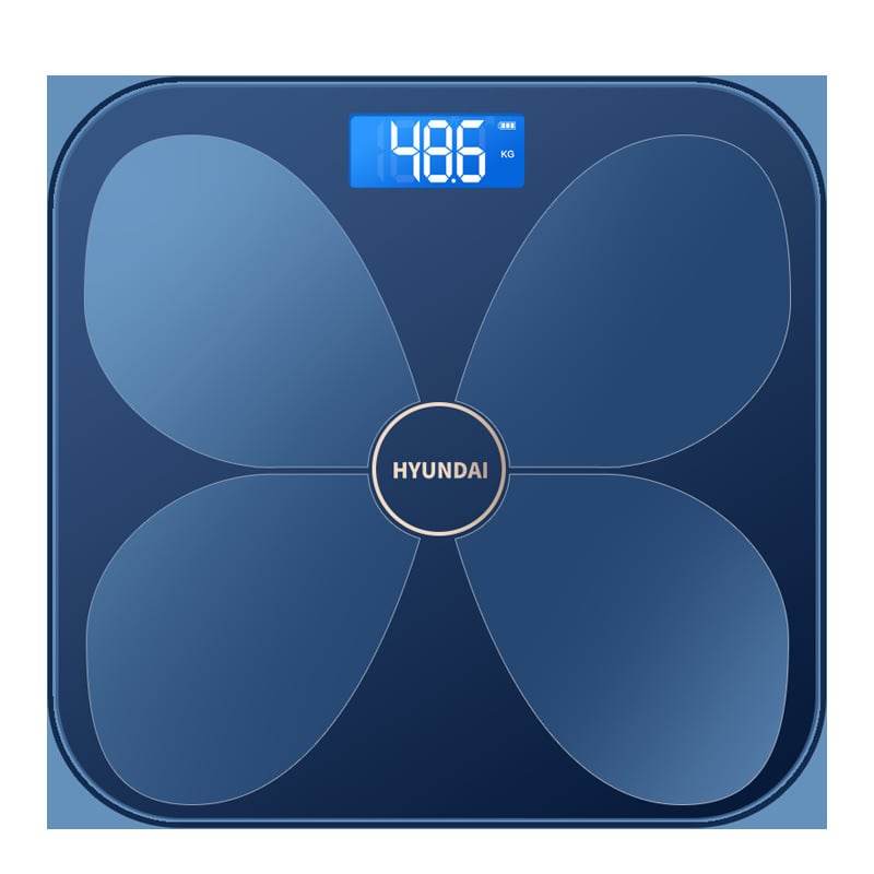 Bluetooth smart body weight and body fat scale - Price Value Store
