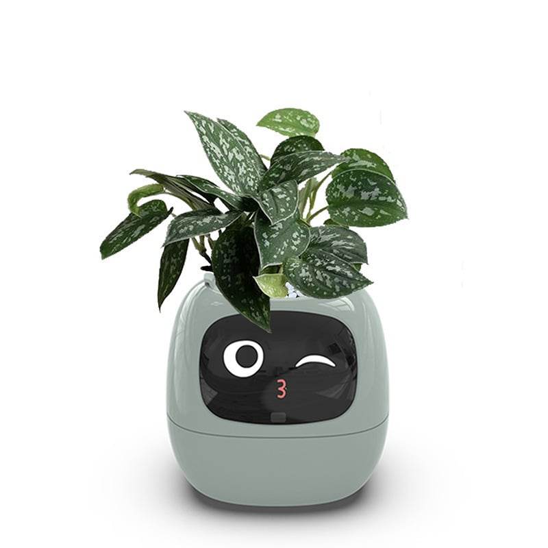 USB rechargeable automatic water-absorbing flowerpot - Price Value Store