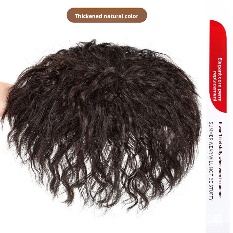 Wig Replacement Hair Block