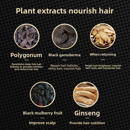 Modified Black Ganoderma Shouwu Plant Extract Shampoo