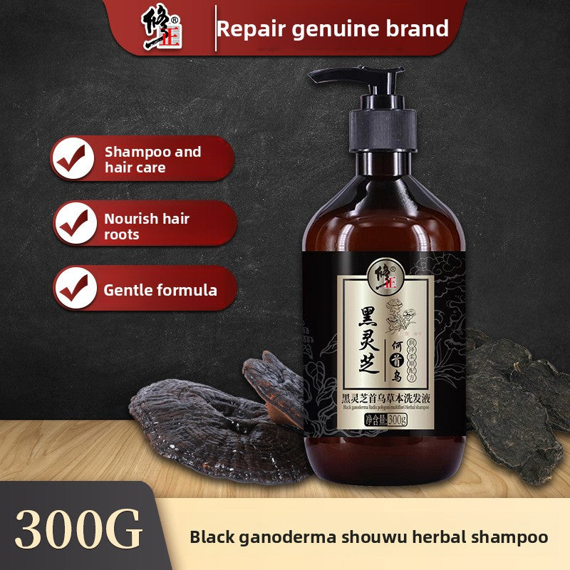 Modified Black Ganoderma Shouwu Plant Extract Shampoo