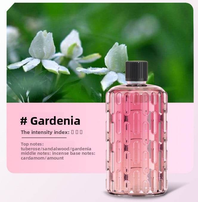 Automatic Fragrance Sprayer with Timer and Essential Oil Diffuser - Price Value Store