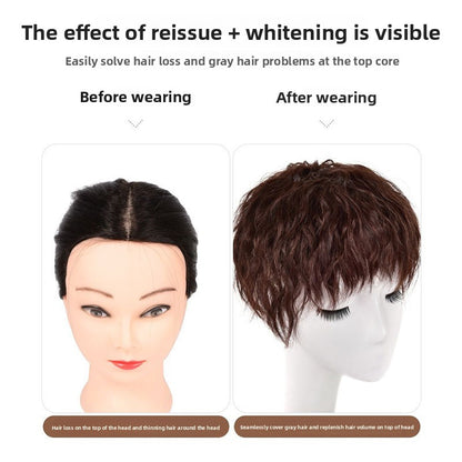 Wig Replacement Hair Block