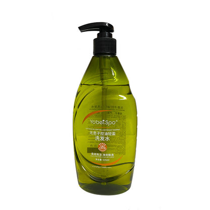Refreshing oil-control and anti-dandruff shampoo
