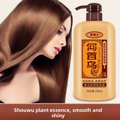 Dr. Li's Old Ginger King Polygonum Multiflorum Shampoo