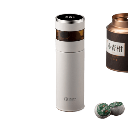 Smart Temperature Display Vacuum Insulated Cup with Tea Strainer - Price Value Store