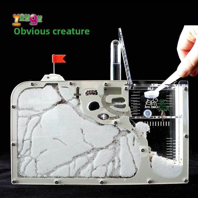 Ecological Ant Workshop toys - Price Value Store