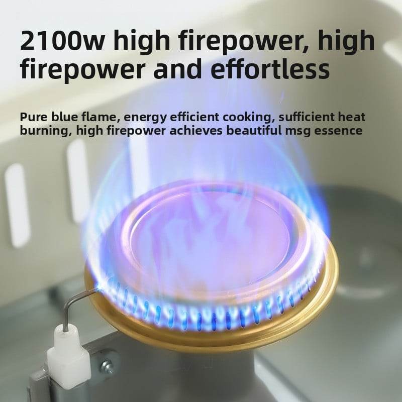 Gas stove for barbecue and picnic - Price Value Store