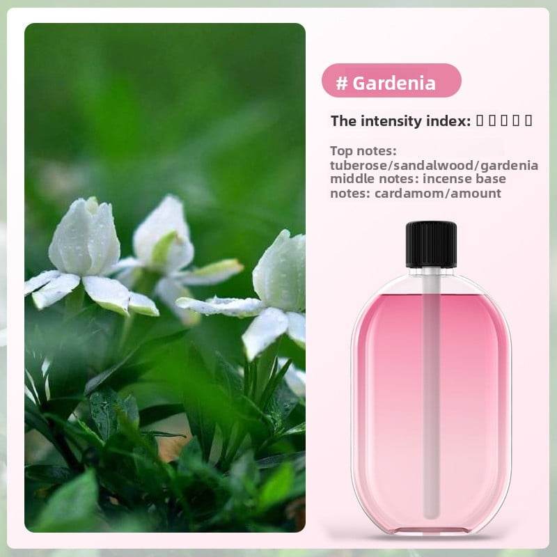 Automatic fragrance sprayer - Price Value Store