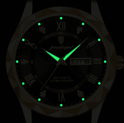 Swiss Brand Waterproof Luminous Men's Quartz Watch - Price Value Store