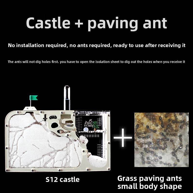 Ecological Ant Workshop toys - Price Value Store