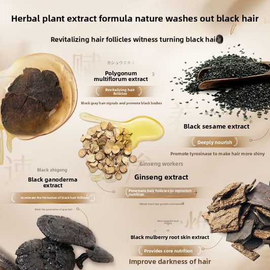 Polygonum multiflorum shampoo