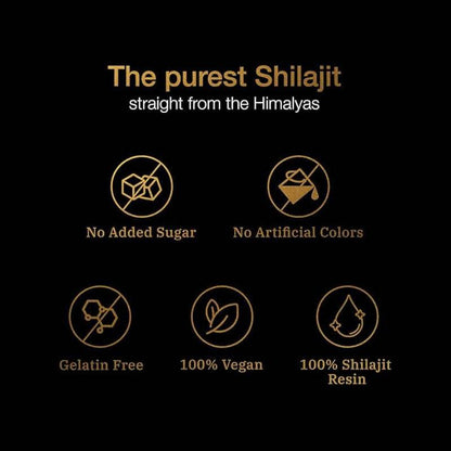Premium Shilajit Gummies Natural Energy Immunity Mood Vegetarian Non-GMO Gummies - Price Value Store