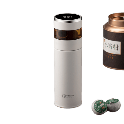 Smart Temperature Display Vacuum Insulated Cup with Tea Strainer - Price Value Store