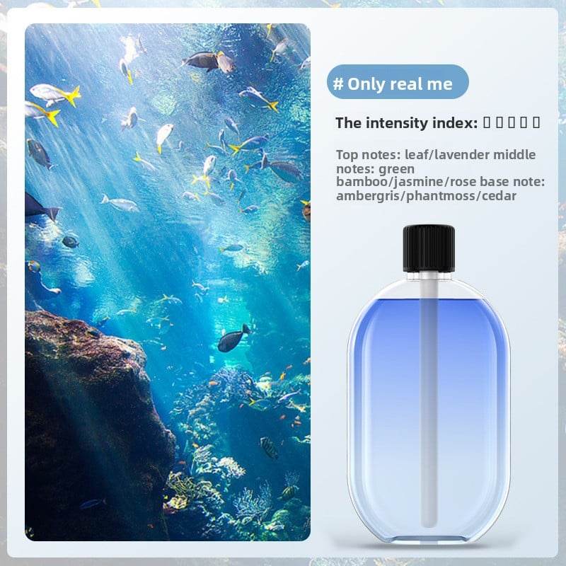 Automatic fragrance sprayer - Price Value Store