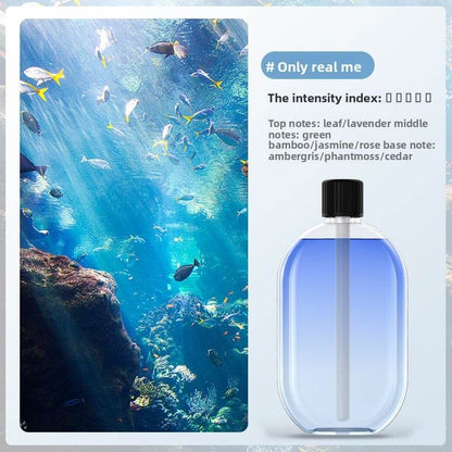 Automatic fragrance sprayer - Price Value Store