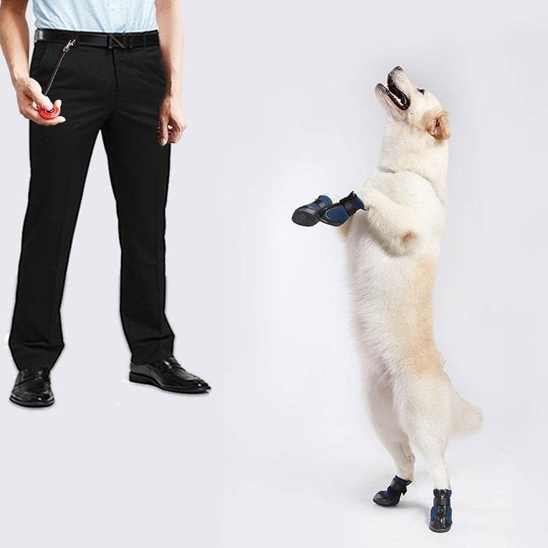 Dog Training Clicker ? Obedience Whistle & Command Trainer - Price Value Store