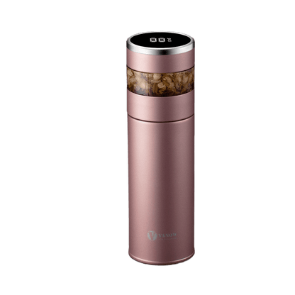 Smart Temperature Display Vacuum Insulated Cup with Tea Strainer - Price Value Store