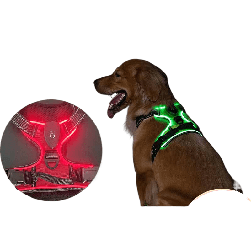 LED lighting pet harness leash - Price Value Store