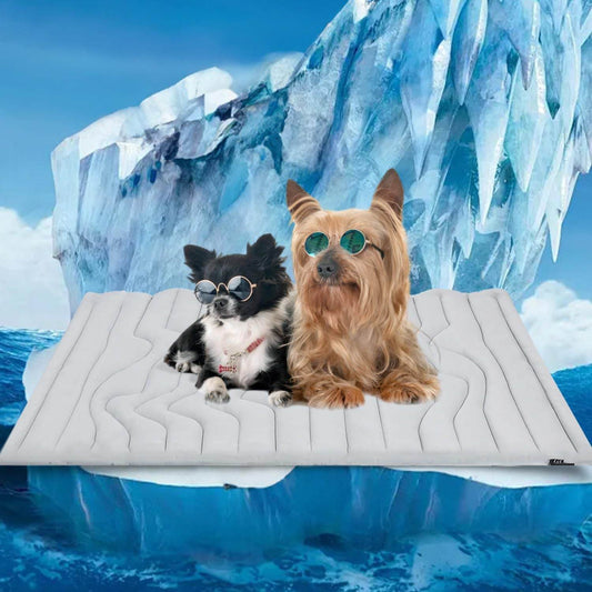 Summer & Winter Dual Use Pet Cooling and Heating Pad - Price Value Store