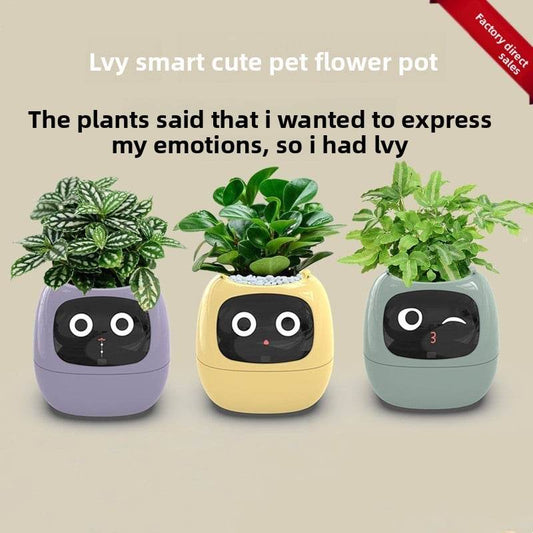 USB rechargeable automatic water-absorbing flowerpot - Price Value Store