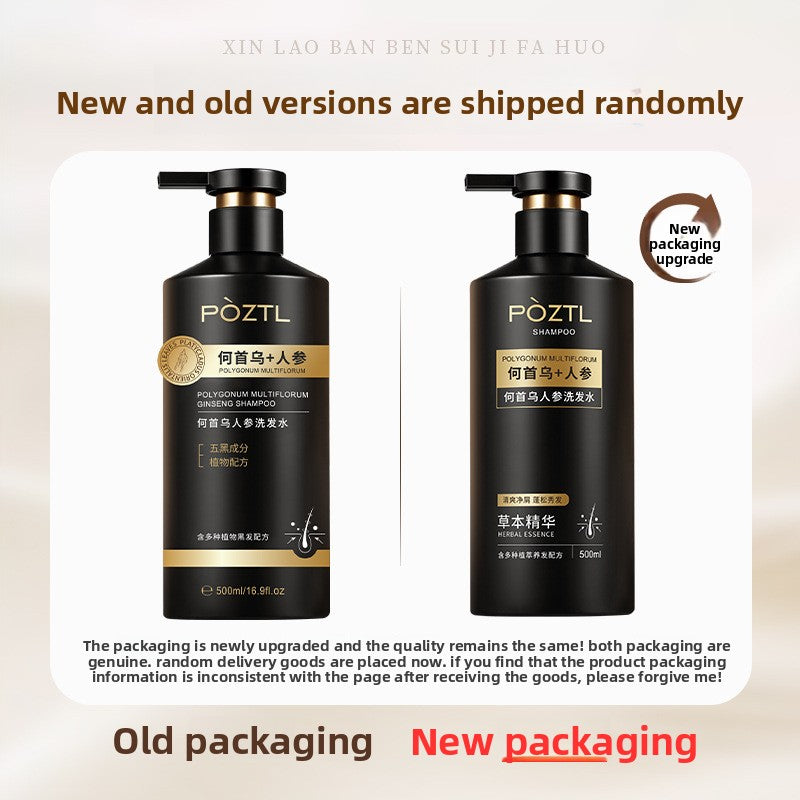 Polygonum multiflorum shampoo