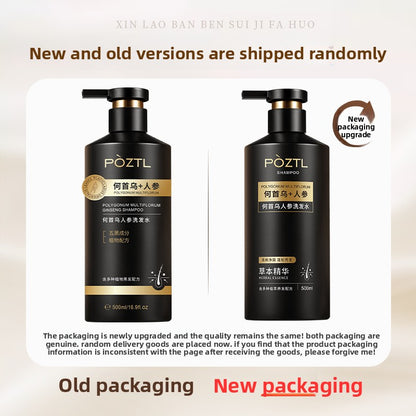 Polygonum multiflorum shampoo