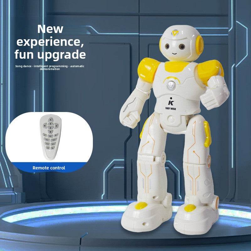Programmable Remote Control Robot Toy - Price Value Store