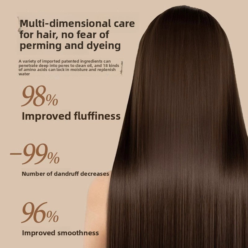 Anti-dandruff and anti-itch care special oil-control and voluminous shampoo lotion