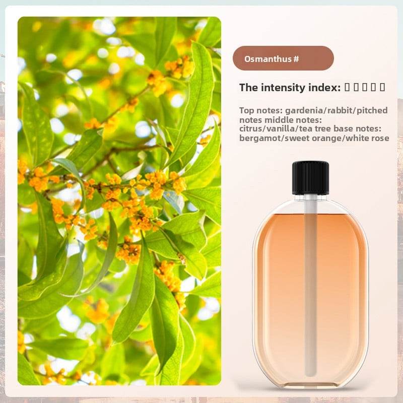 Automatic fragrance sprayer - Price Value Store