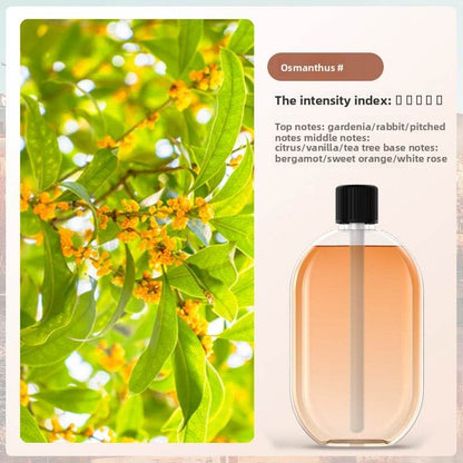 Automatic fragrance sprayer - Price Value Store