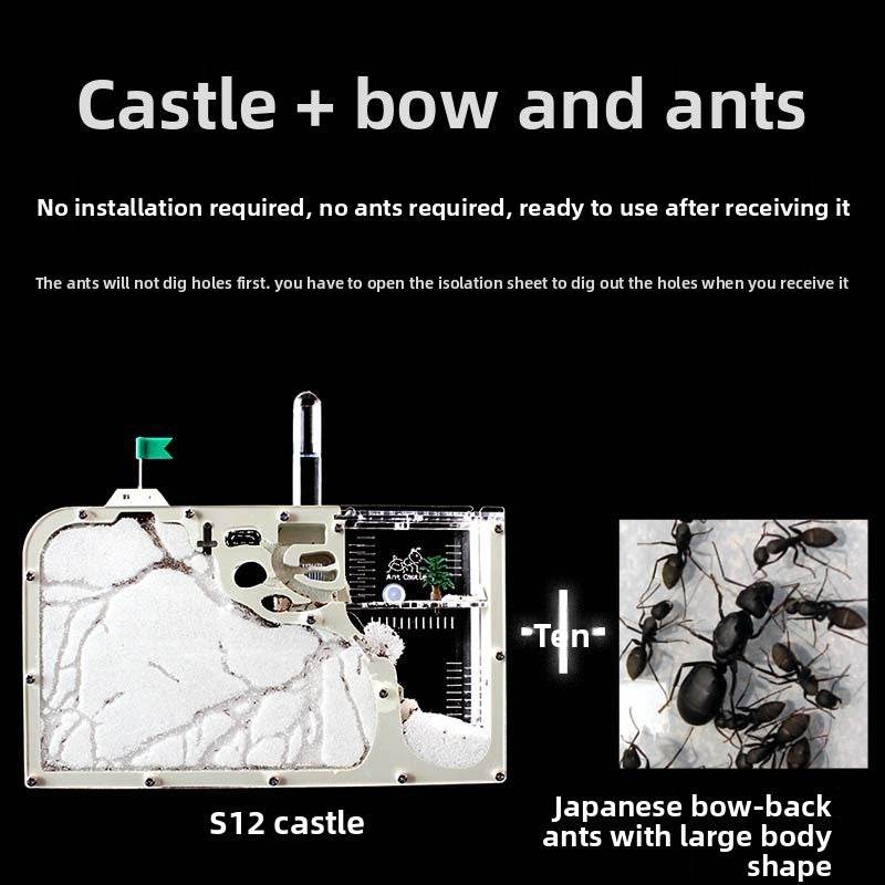 Ecological Ant Workshop toys - Price Value Store
