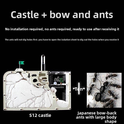 Ecological Ant Workshop toys - Price Value Store