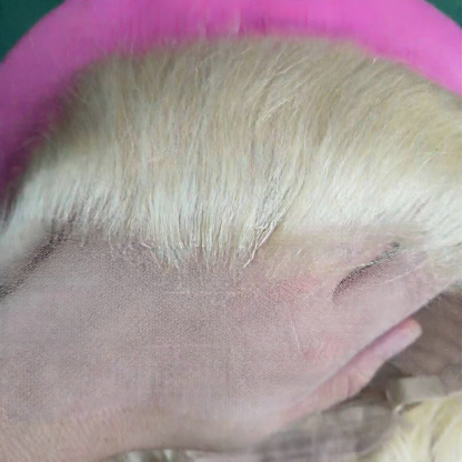 Lace wig, real human hair cover