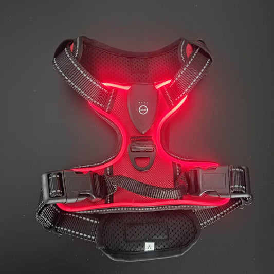 LED lighting pet harness leash - Price Value Store