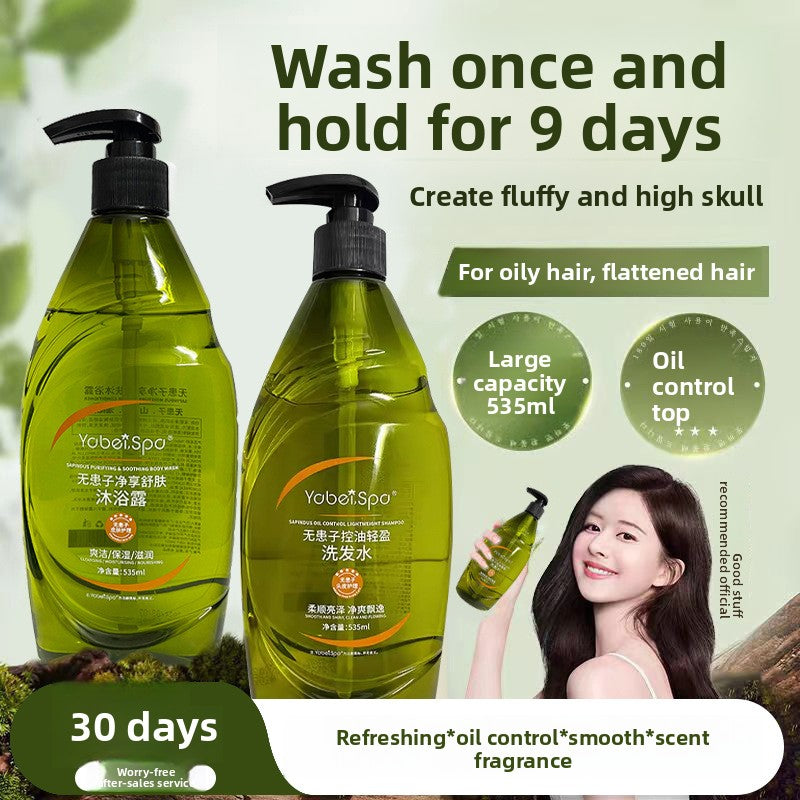 Refreshing oil-control and anti-dandruff shampoo