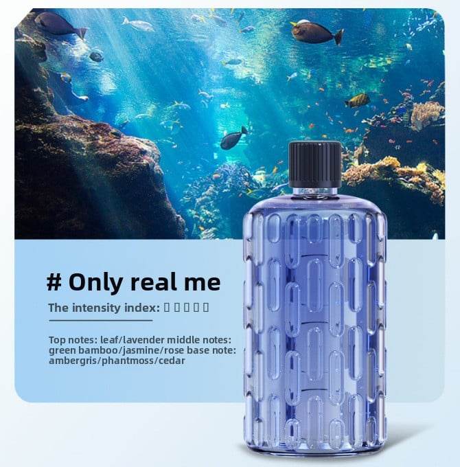 Automatic Fragrance Sprayer with Timer and Essential Oil Diffuser - Price Value Store