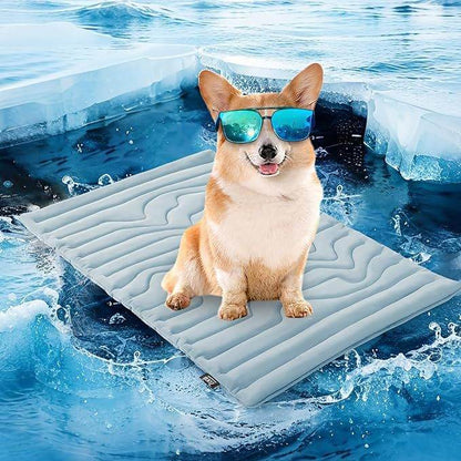 Summer & Winter Dual Use Pet Cooling and Heating Pad - Price Value Store