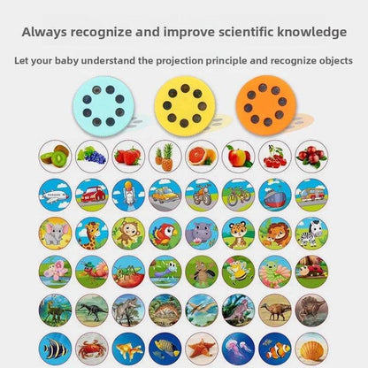 Kids Educational Projection Flashlight Toy with Dinosaur Fruit Number Cards - Price Value Store