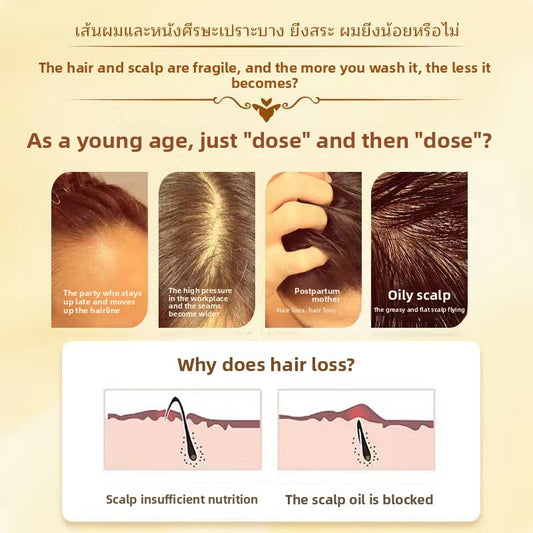 Ginger Oil-Control Shampoo