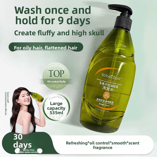 Refreshing oil-control and anti-dandruff shampoo