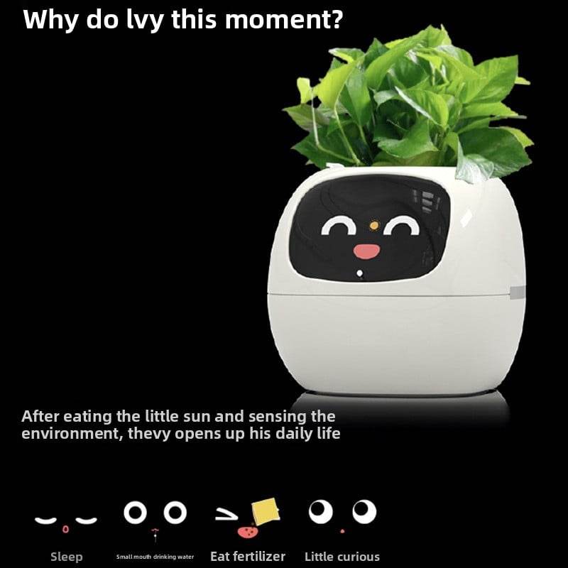 USB rechargeable automatic water-absorbing flowerpot - Price Value Store