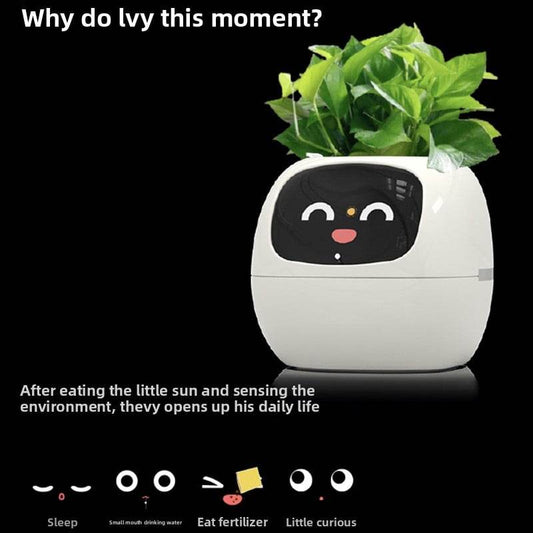USB rechargeable automatic water-absorbing flowerpot - Price Value Store