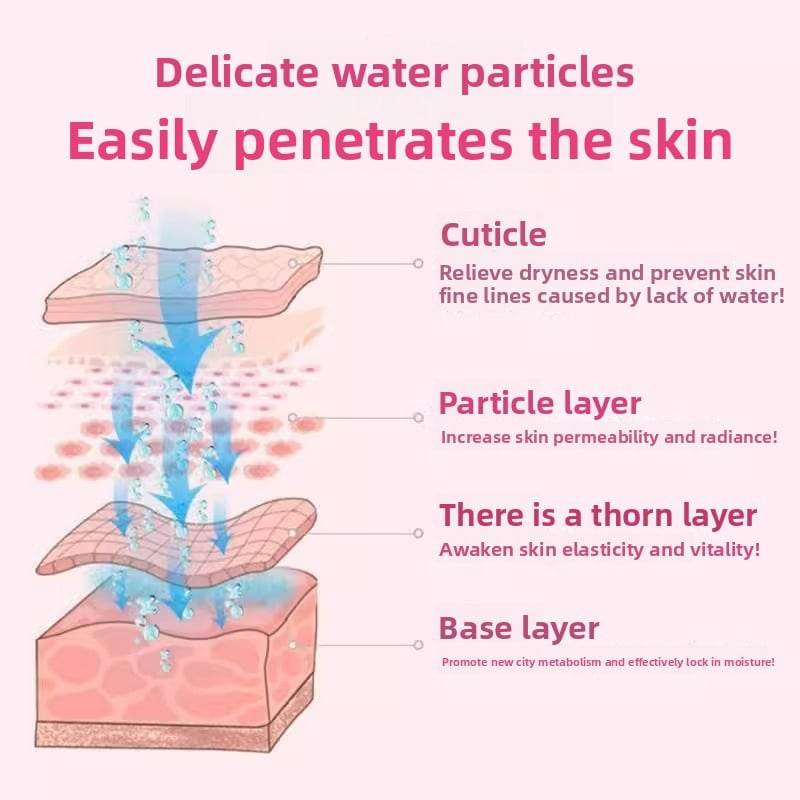 Portable Nano Spray Facial Humidifier with Cold Mist and USB Recharge - Price Value Store